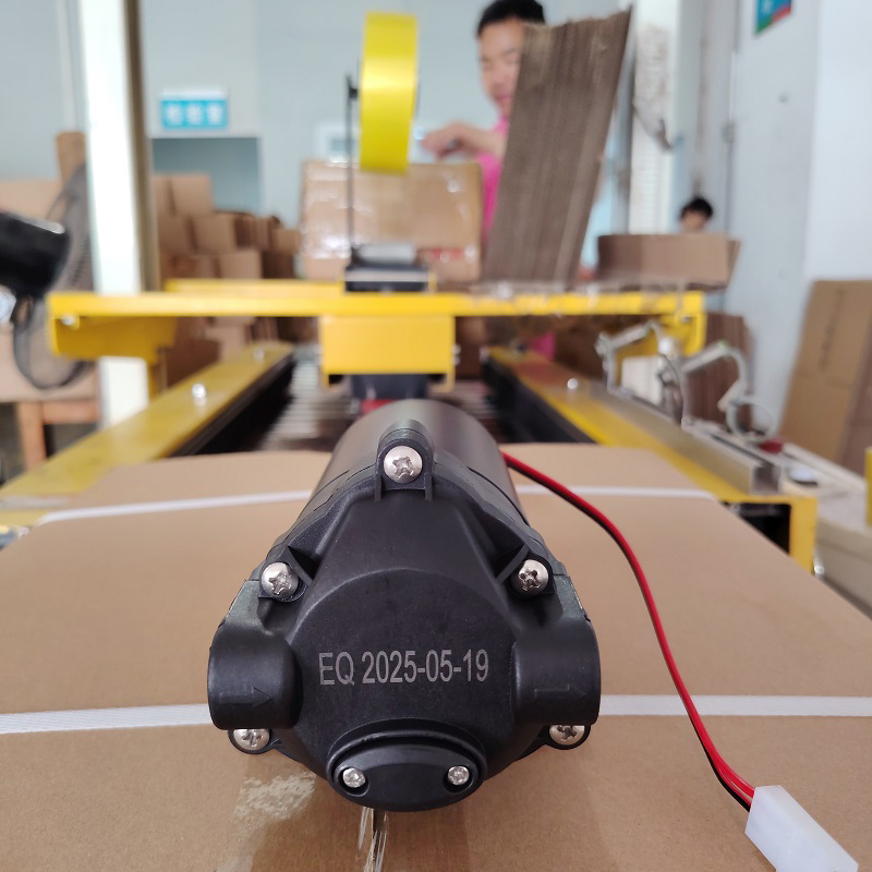 Zuanli Boost Pumps Spedition oggi per il caricamento dei container!