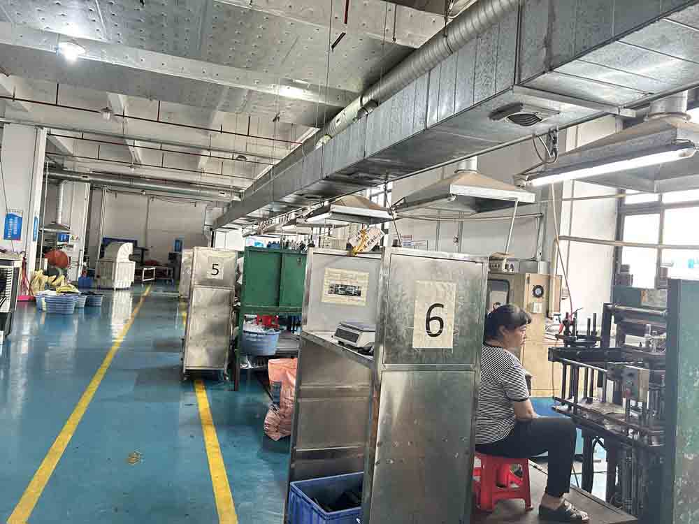 Dal progetto alla realtà: ZhengGuan Factory lancia un servizio di produzione di parti di gomma personalizzata