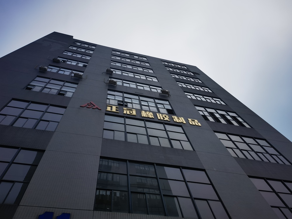 Investire nella precisione: [gomma zhengguan] lancia un laboratorio avanzato di test su gomma e silicone